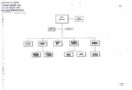 Organograma COC (1995)